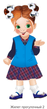Жилет прогулочный на липучках Синий
